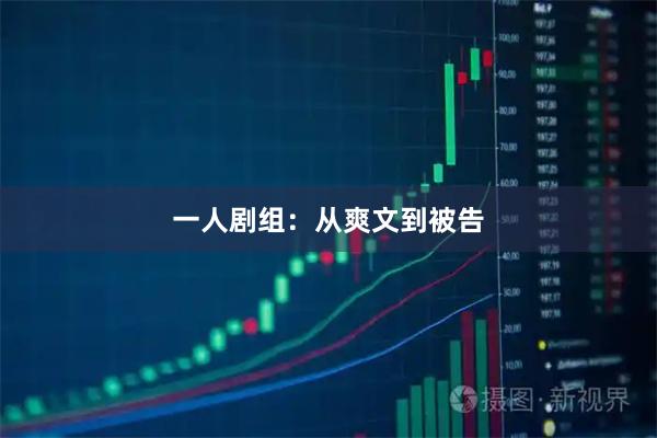 一人剧组：从爽文到被告