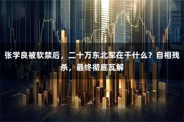 张学良被软禁后，二十万东北军在干什么？自相残杀，最终彻底瓦解